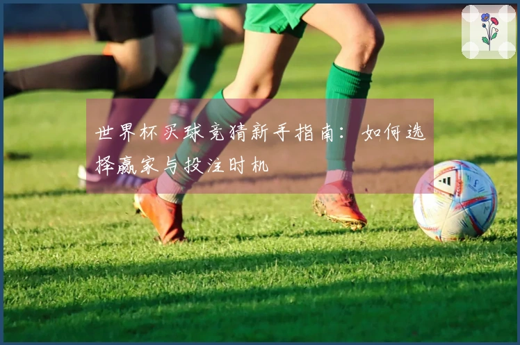 世界杯买球竞猜新手指南：如何选择赢家与投注时机