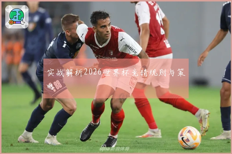 实战解析2026世界杯竞猜规则与策略