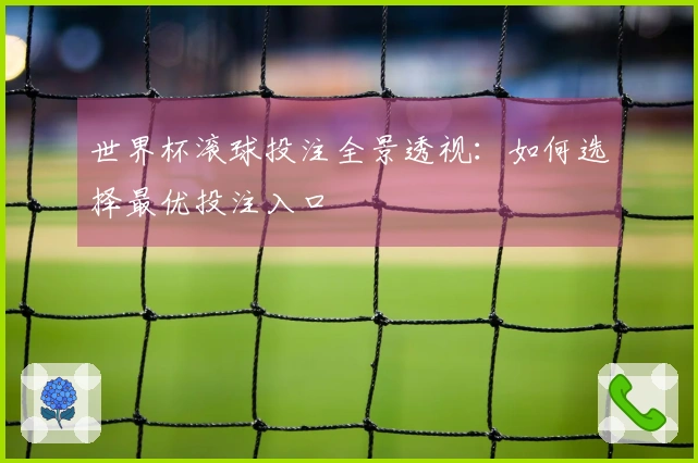 世界杯滚球投注全景透视：如何选择最优投注入口